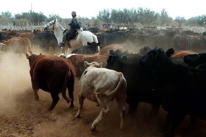 Las tonalidades diversas contribuyen para adaptar al animal a su entorno