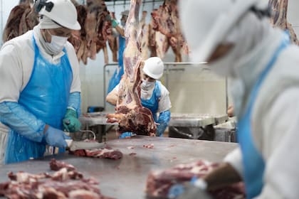Las toneladas enviadas al exterior fueron apenas 0,4% superiores, pero la facturación aumentó 29,1%