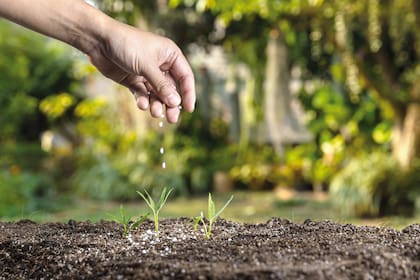 Las trabas para importar han complicado al sector de los insumos