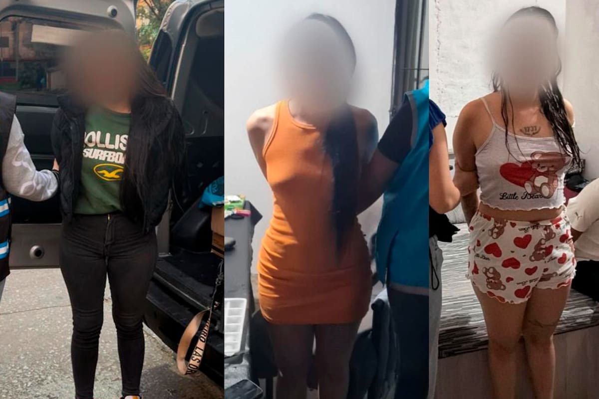 Las tres viudas negras ya están detenidas y a disposición de la Justicia