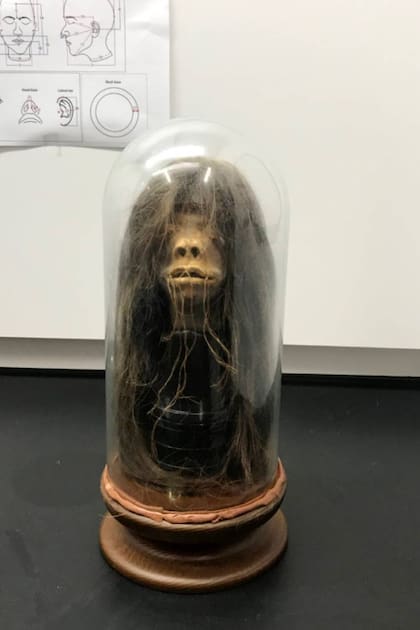 Las tribus que reducían cabezas creían que podrían quedarse con el poder y la energía del enemigo al que le realizaban ese ritual