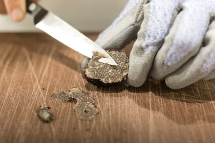 Las trufas son un tesoro para la alta cocina. Su perfume es muy particular, pero también muy buscado por los gourmets.