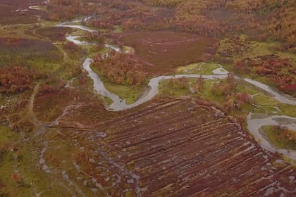 Las turberas son la clave ecológica