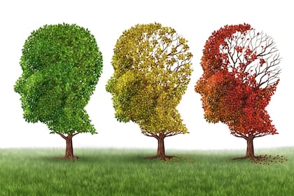 Las últimas investigaciones apuntan a diagnosticar la enfermedad lo más precozmente posible. La meta es poder intervenir con tratamientos con anterioridad a que los primeros síntomas aparezcan.