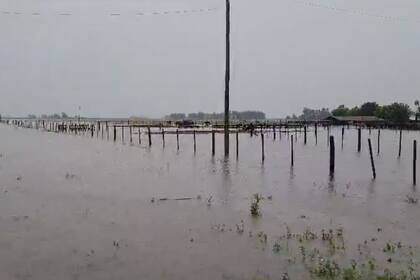 Las últimas lluvias hicieron estragos en el norte santafecino