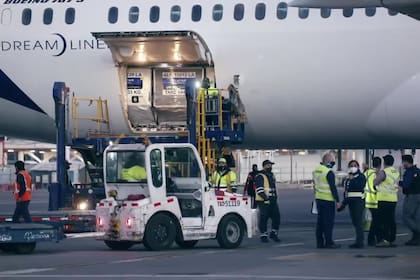 Las vacunas irán llegando al país y se informará cuando eso ocurra, aseguró Vizzotti