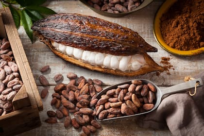 En la ceremonia del cacao se vive paso a paso el proceso desde la semilla hasta que se convierte en chocolate