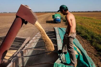 Las ventas de los productores se distribuyen a lo largo del año, así como las ventas de la exportación y la molienda de las fábricas