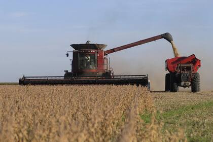 Las ventas de maíz y soja 2023/24 están muy demoradas respecto de los parámetros históricos y hay pocas expectativas de que los productores se alejen de la tendencia conservadora en los próximos veces