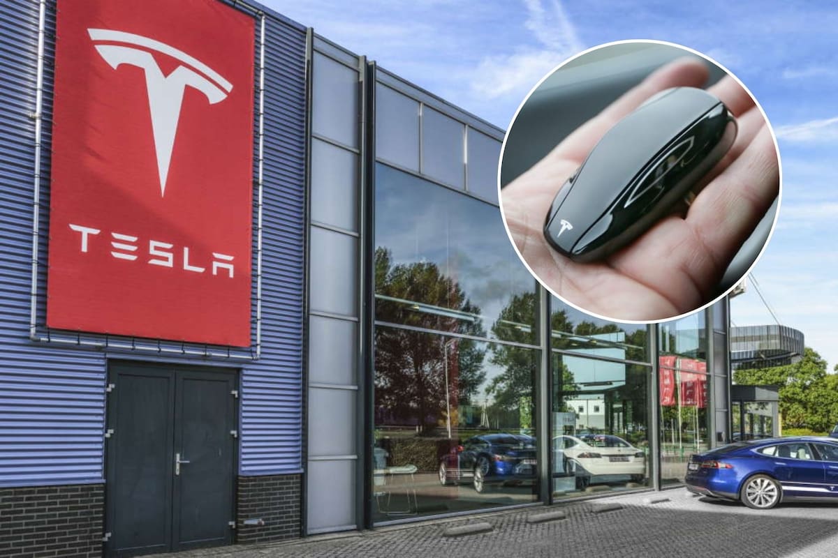 Las ventas de Tesla cayeron durante el primer trimestre de 2025 mientras el fabricante atraviesa su momento más crítico en tres años (Archivo/Canva)
