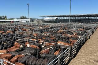 Cierre de semana en positivo en el Mercado Agroganadero de Cañuelas