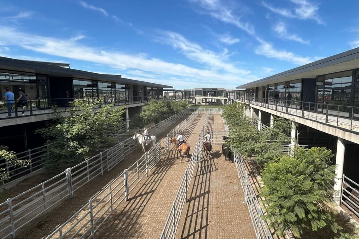 Las ventas se concretaron con demanda selectiva, los operadores de compra buscaron los lotes de calidad, en especial los de haciendas livianas