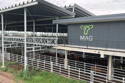 Las ventas se realizaron con poca competencia por parte de los operadores de compra y valores con ganancias solo para los conjuntos de calidad