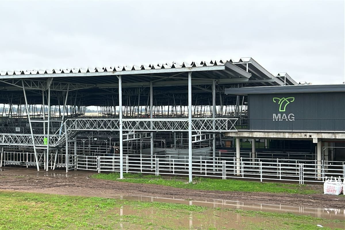 Las ventas tuvieron agilidad y valores que oscilaron dentro de los niveles registrados en la rueda del viernes pasado