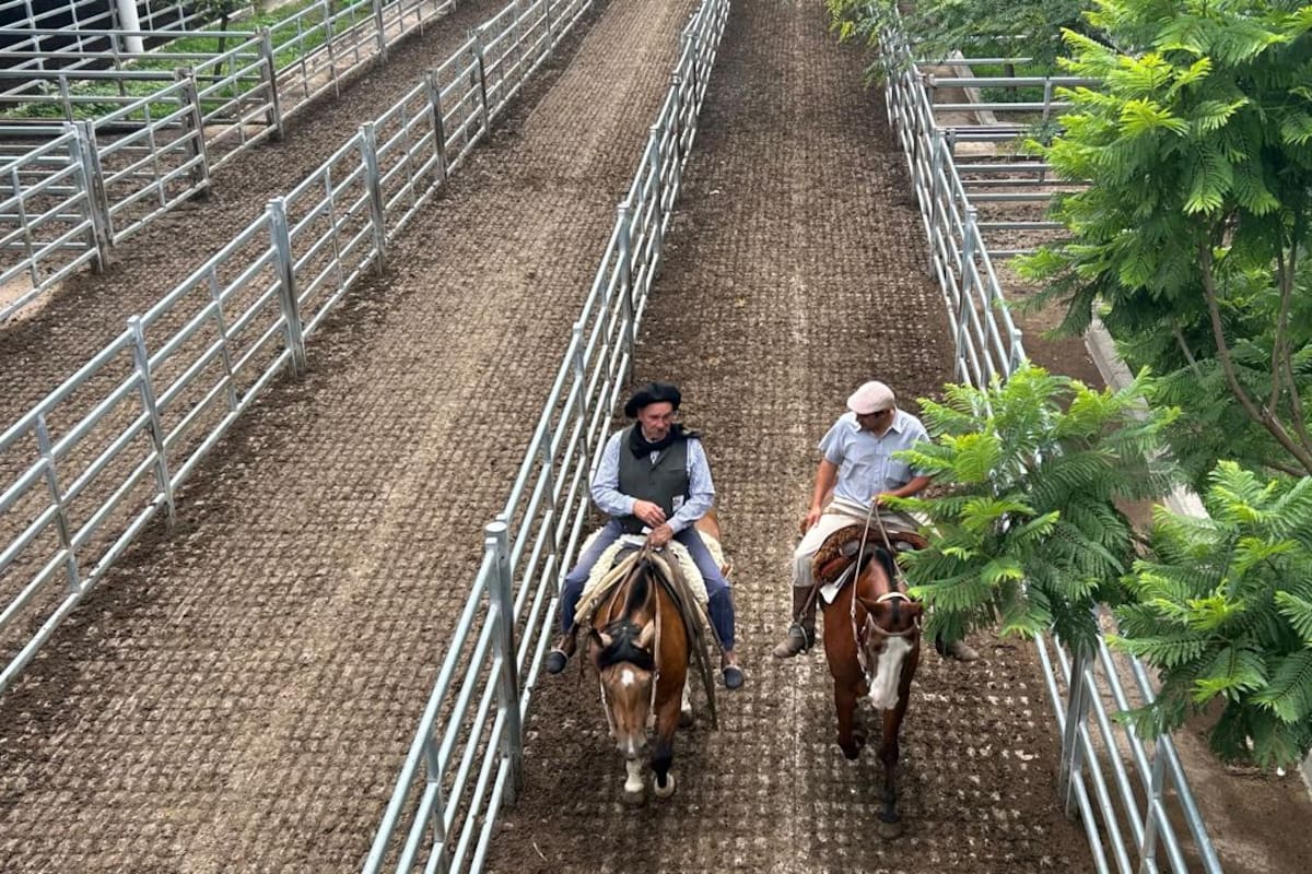 Las ventas tuvieron con demanda selectiva y los operadores de compra ejercieron competencia solo por los lotes de calidad