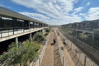 Cierre de semana con menor oferta y valores con alzas en el Mercado Agroganadero de Cañuelas