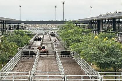 Las ventas tuvieron poca competencia por parte de los operadores de compra y valores con ganancias solo para los conjuntos de calidad