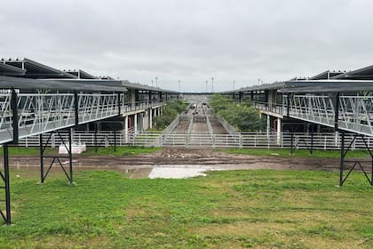 Las ventas tuvieron una demanda activa, los operadores de compra buscaron abastecerse frente a los pocos favorables pronósticos de precipitaciones para los próximos días