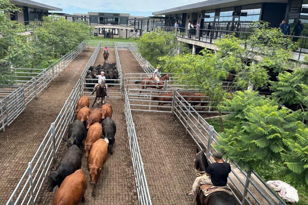 Las ventas tuvieron una demanda selectiva y los operadores de compra ejercieron competencia solo por los lotes de calidad