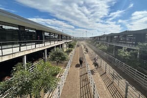 Comienzo de semana con altibajos en el Mercado Agroganadero de Cañuelas