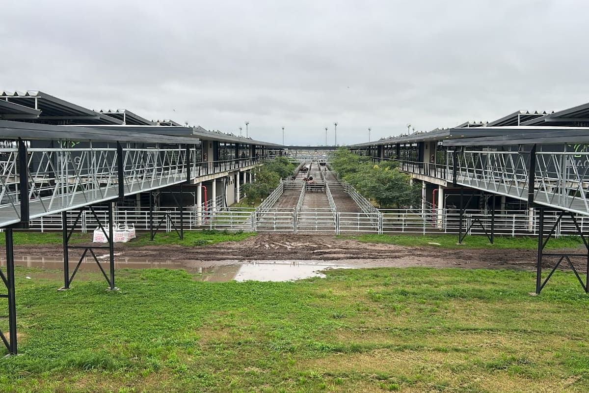 Las ventas tuvieron una demanda sostenida y los operadores de compra ejercieron competencia por todos los lotes expuestos de destacada calidad y terminación