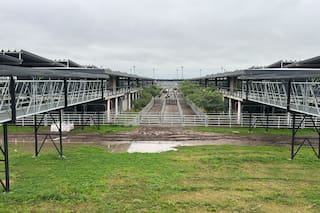 Cierre de semana en positivo en el Mercado Agroganadero de Cañuelas
