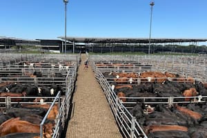 Cierre de semana en positivo en el Mercado Agroganadero de Cañuelas