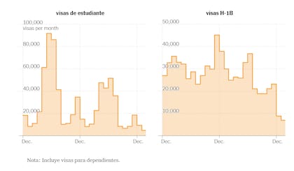 Las visas de estudiantes y para trabajadores también cayeron en Estados Unidos