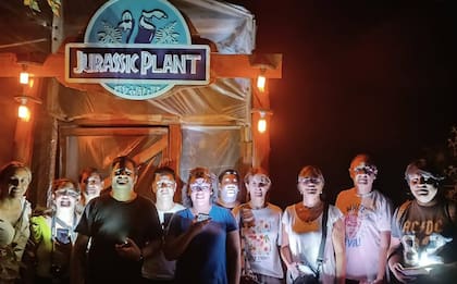 Las visitas a Jurassic Plant son nocturnas.
