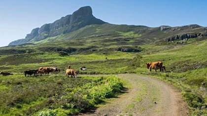 Las vistas desde la cumbre de An Sgurr son increíbles