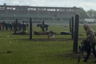 Cayó un rayo en el Jockey Club de San Isidro: murieron cuatro yeguas de polo