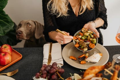 Las zanahorias, el brócoli y las legumbres son ideales para fortalecer el sitema inmune de tu perro