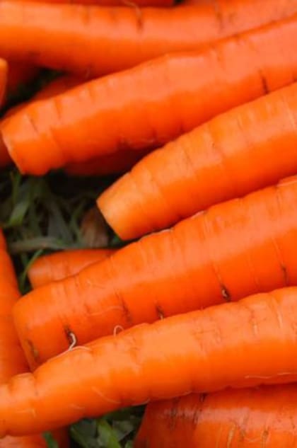 Las zanahorias también son ricas en vitamina A, K, C, potasio, calcio y hierro
Foto: iStock