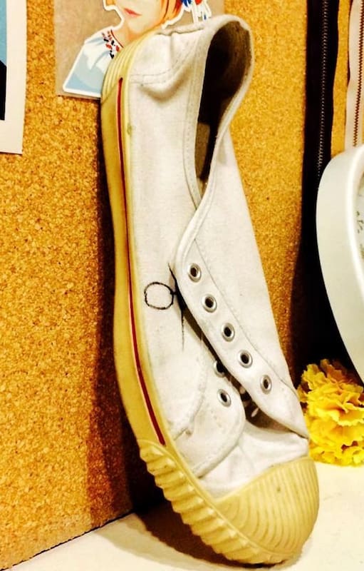 Las zapatillas Flecha empezaron a fabricarse en la década del 60 por la empresa Alpargatas; se caracterizaron por la capellada de lona, suela de PVC y la puntera aserruchada
