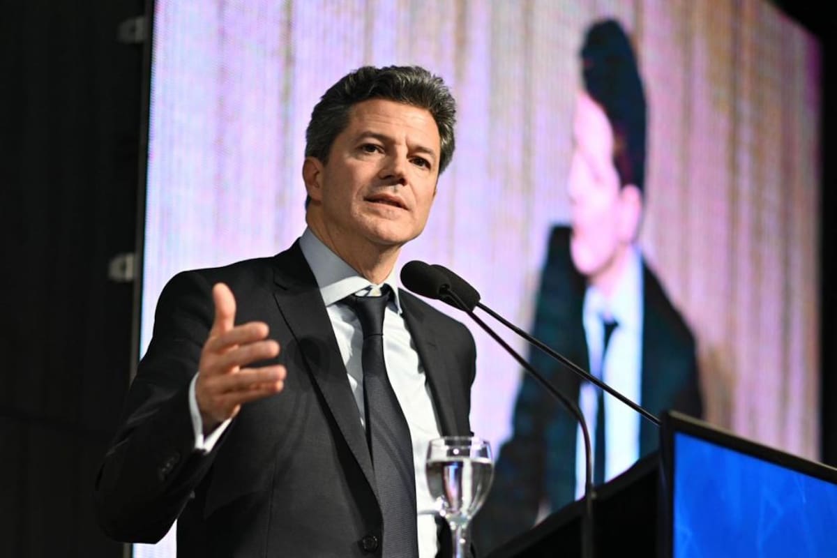 Laspina subrayó que no se puede salir del cepo "ingenuamente".