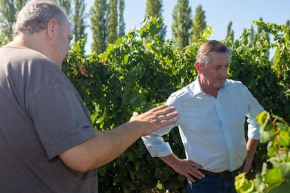 Laucirica visitó productores de Mendoza y San Juan