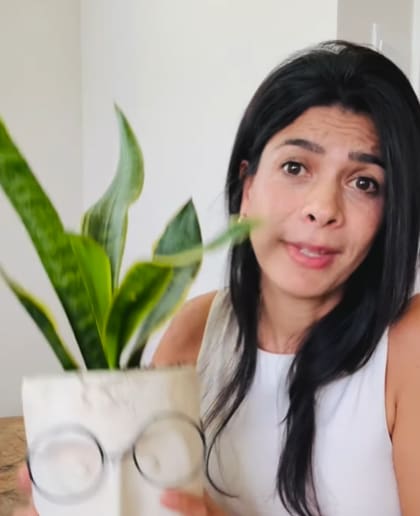Laura Cardona destaca diversas virtudes de esta planta para el equilibrio del hogar