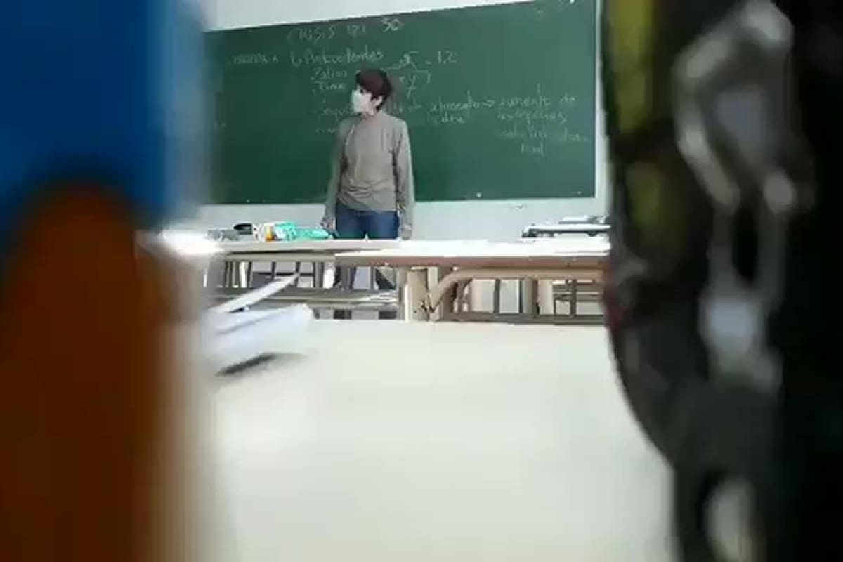Laura Radetich, la docente de historia que está en la mira