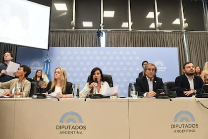 Laura Rodríguez Machado junto a las autoridades del plenario de comisiones que dieron dictamen al nuevo régimen penal juvenil