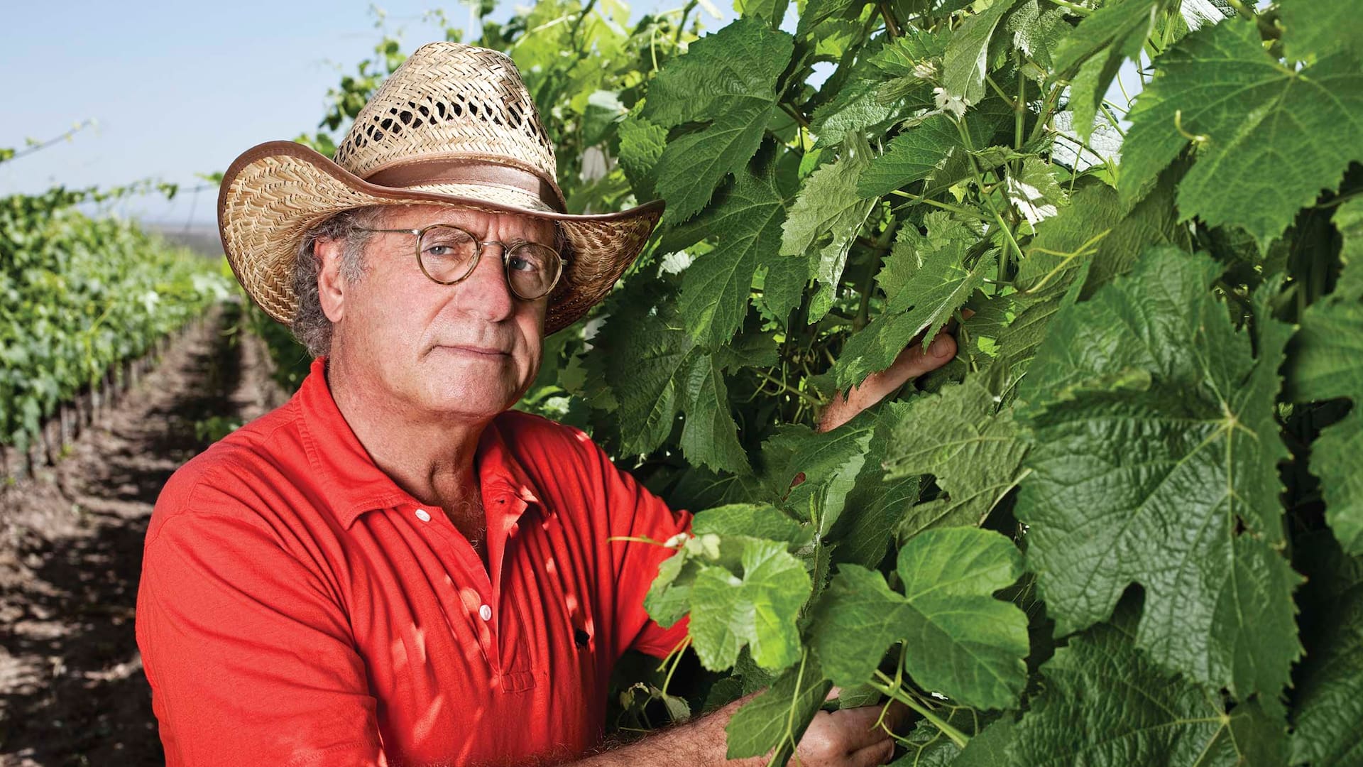 Laurent Dassault en Flecha de los Andes, su bodega en Mendoza