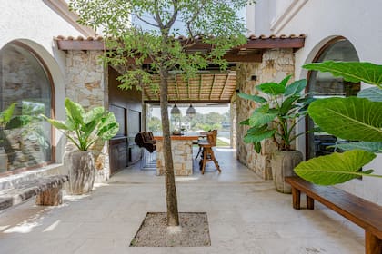 "Le dimos un lugar central a este lapacho porque nos un árbol dentro de casa", explica Cony.