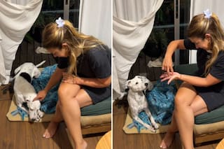 Le enseñó lenguaje de señas a su perro sordo y la reacción de su mascota fue viral