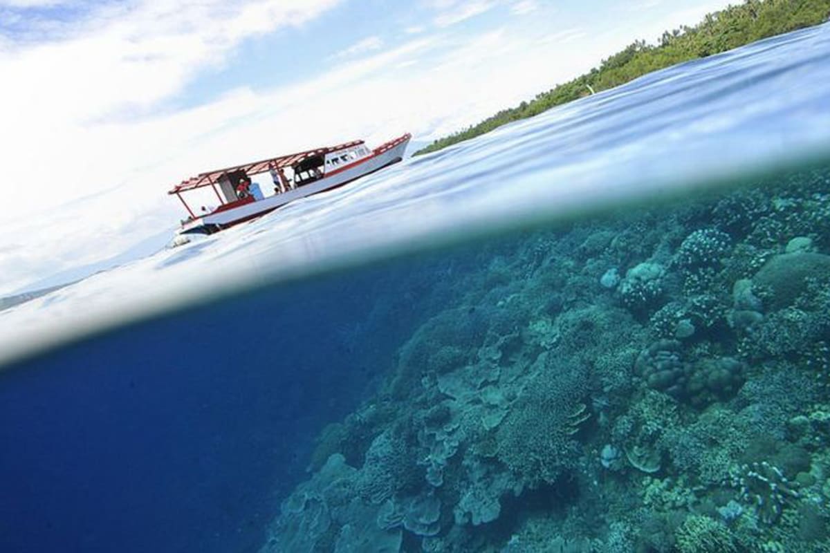 Le hemos dado la espalda al océano