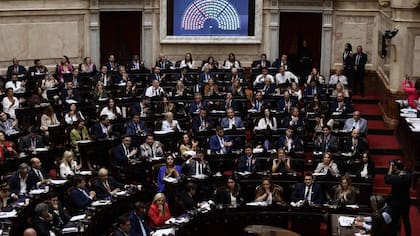 Le pidieron a Milei que incluya la Declaración de Emergencia en el sur en el temario