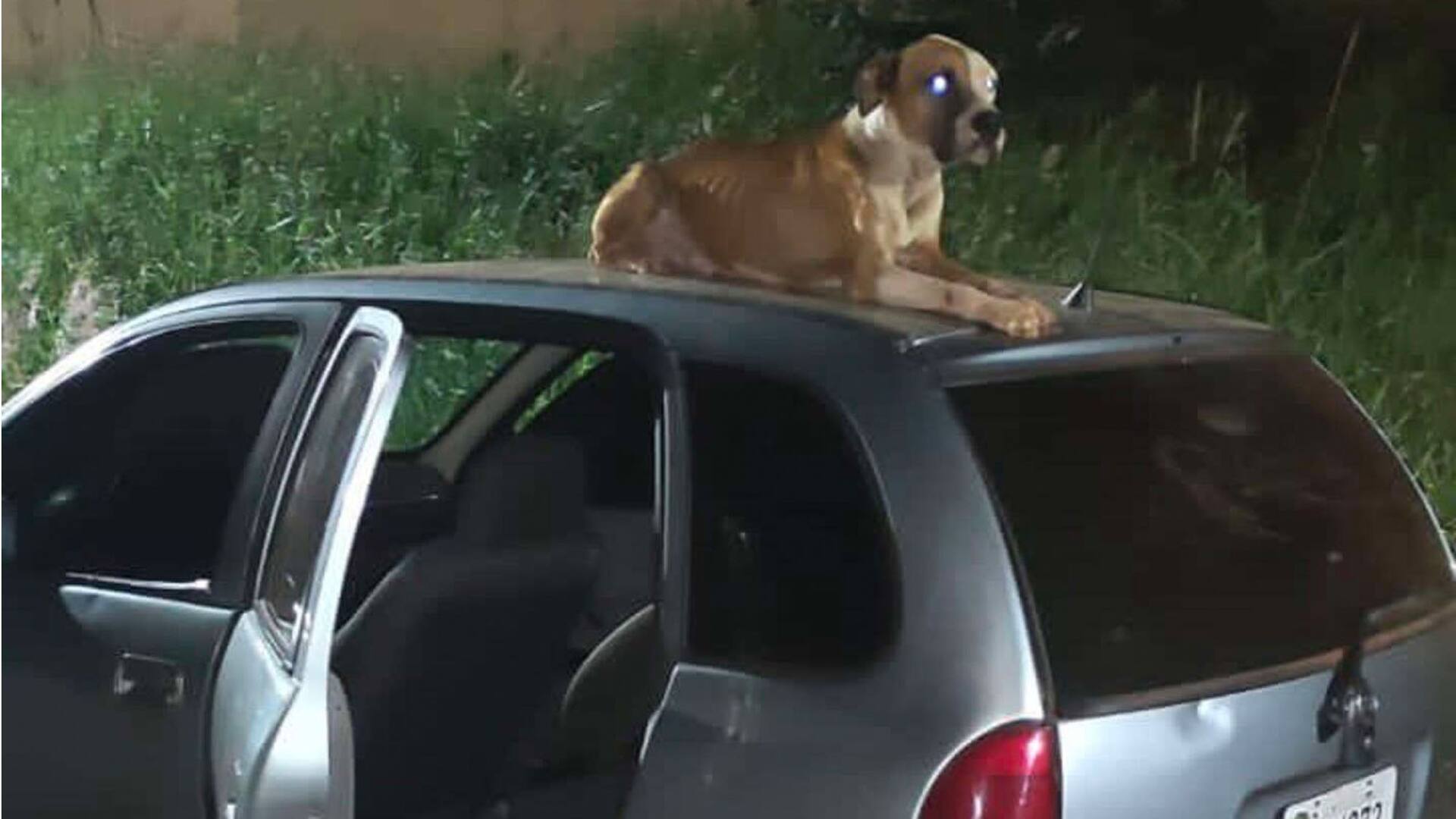 Le robaron el auto y lo encontró días más tarde con una sorpresa que no imaginaba.
