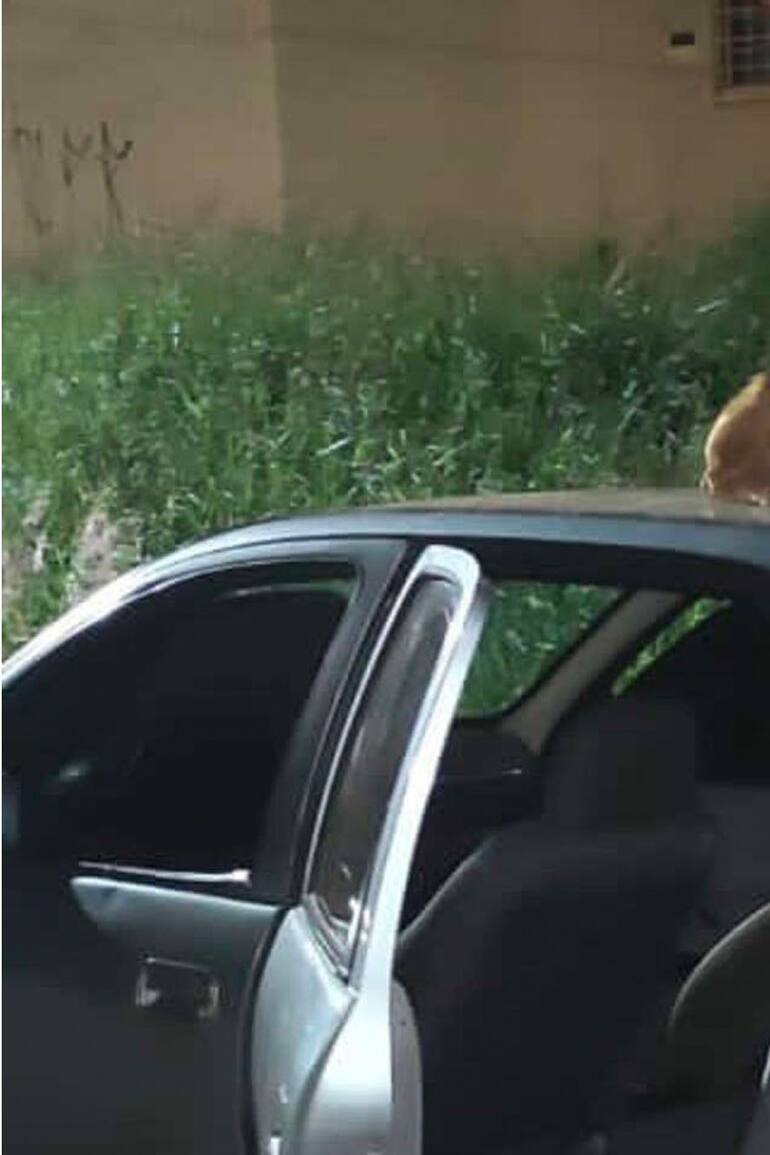 Le robaron el auto y lo encontró días más tarde con una sorpresa que no imaginaba.