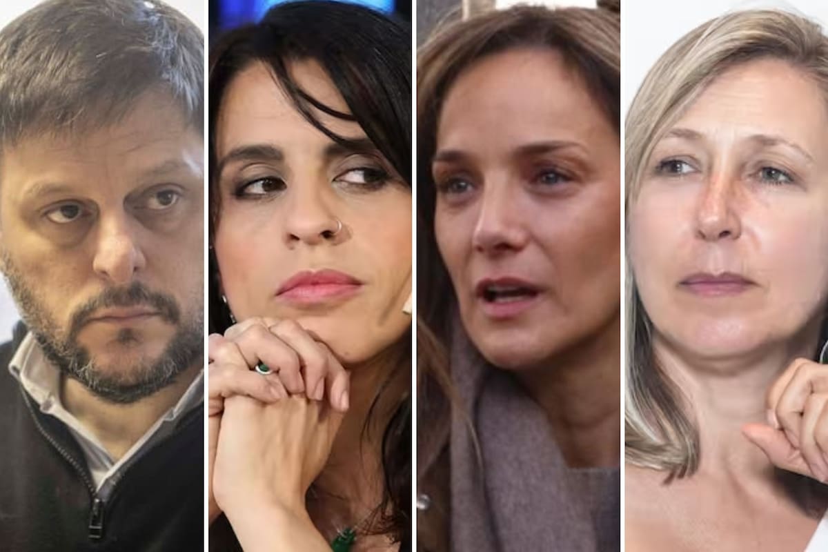 Leandro Santoro, Victoria Donda, Malena Galmarini y Myriam Bregman