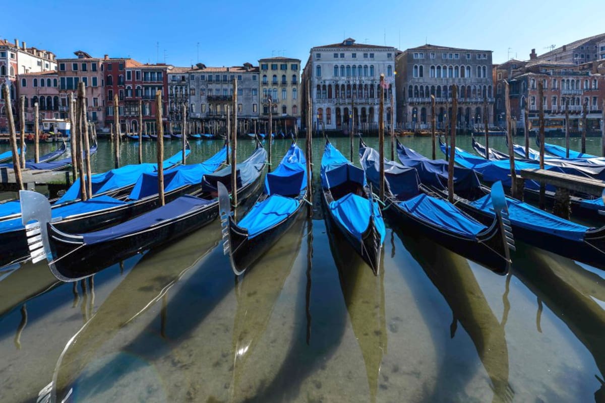 Lecciones de la naturaleza en tiempos de pandemia