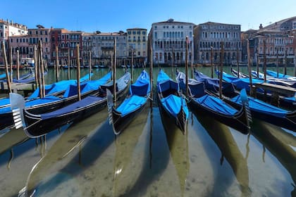 Lecciones de la naturaleza en tiempos de pandemia