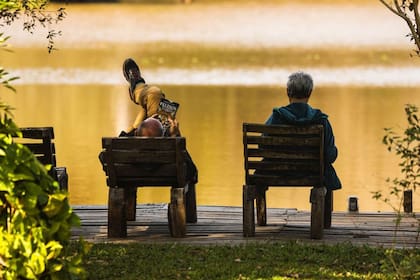 Leer y descansar frente al lago de San Sebastián.